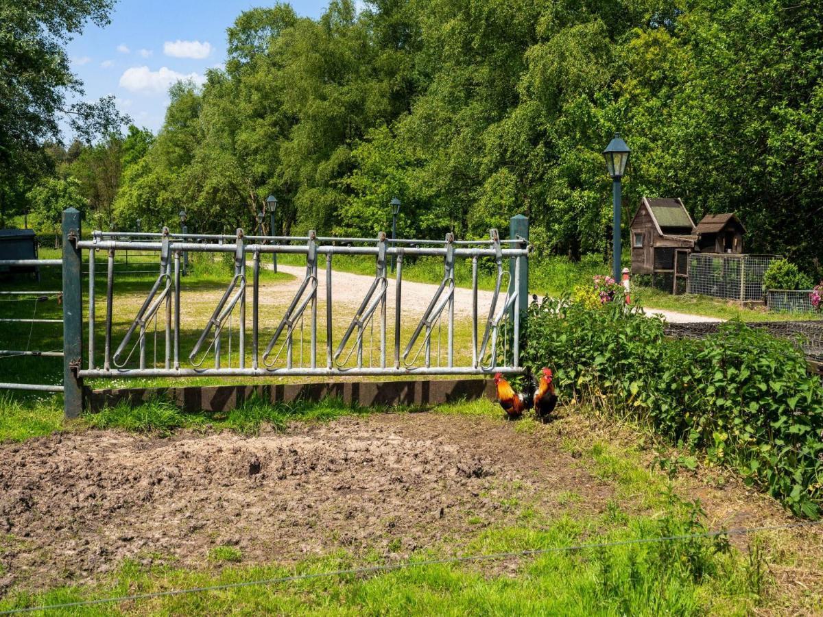 A Lovely Cottage On The Dwingelderveld Nature Park Beilen Exterior photo